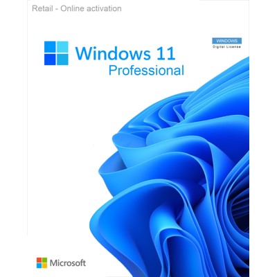 Windows 11 Professional CD Key (Digital Download)